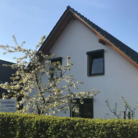 Archenholdweg 1 By Interhome * Heringsdorf (Usedom)